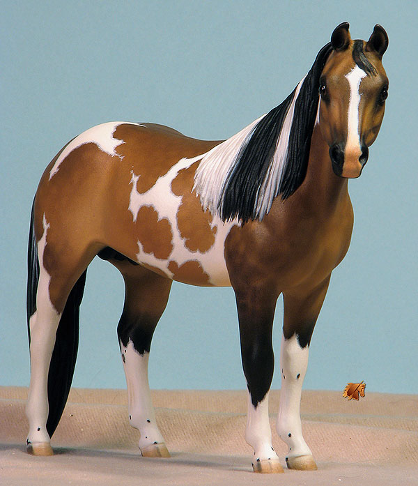 Nandell Fancy Enuf painted by C. Williams