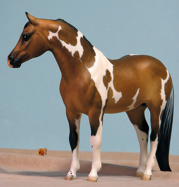 Nandell Fancy Enuf painted by C. Williams