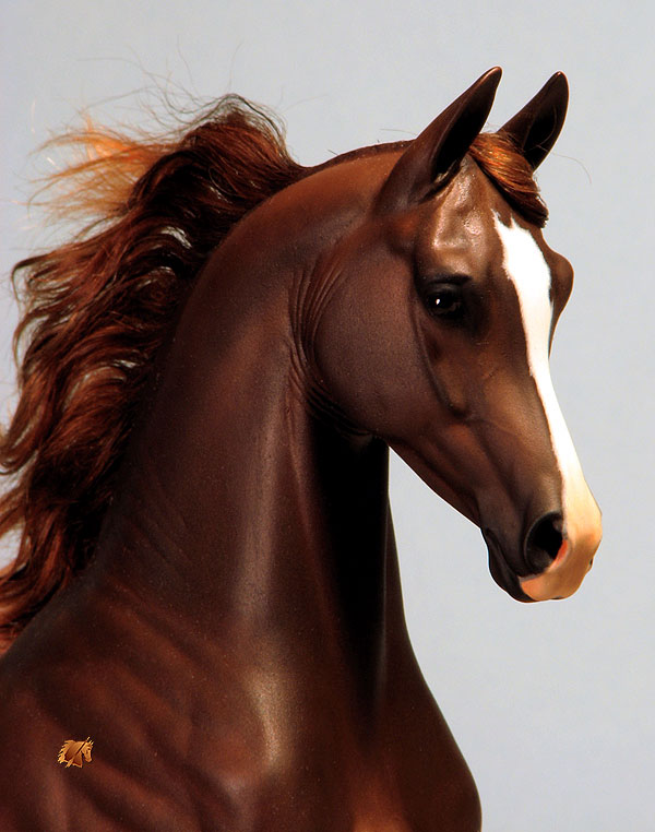 Rose Khemosabi painted by C. Williams