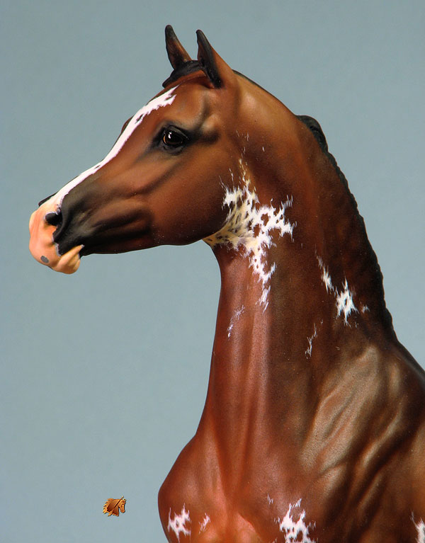 Eberl Galina painted by C. Williams