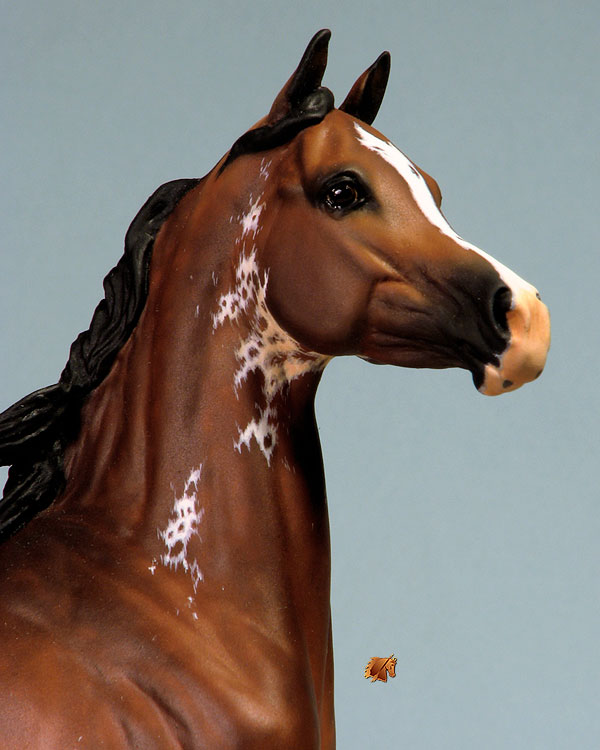 Eberl Galina painted by C. Williams