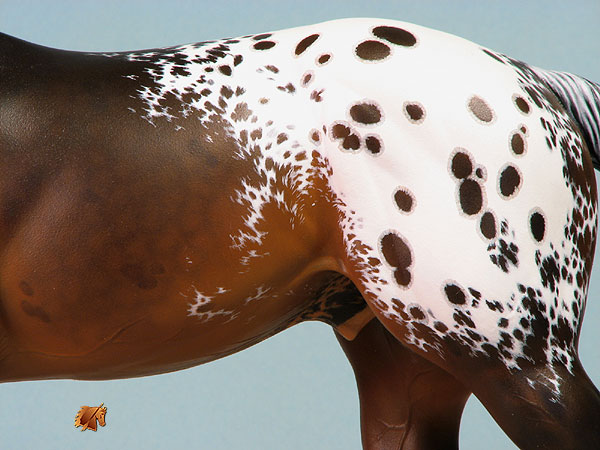 Rose Lonestar painted by C. Williams