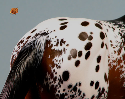 Rose Lonestar painted by C. Williams