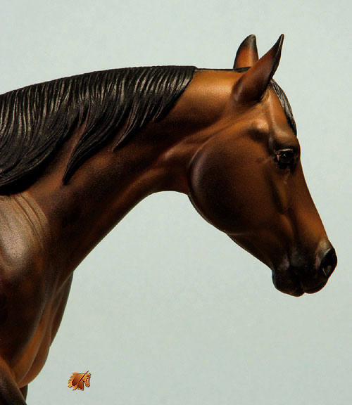 Rose Lonestar painted by C. Williams