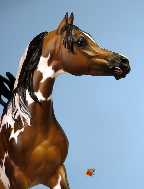 McDermott Indian Fire painted by C. Williams