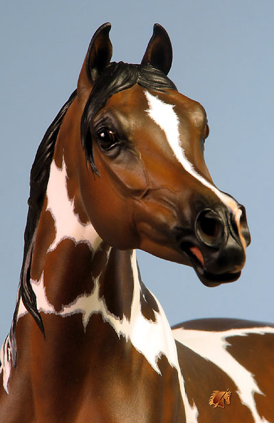 McDermott Indian Fire painted by C. Williams