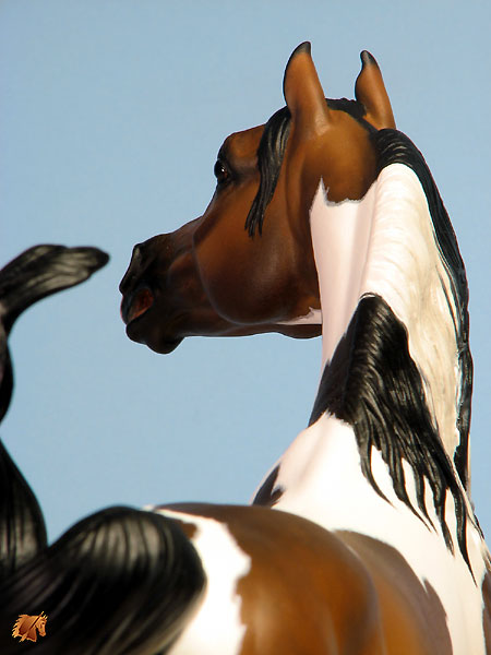 McDermott Indian Fire painted by C. Williams