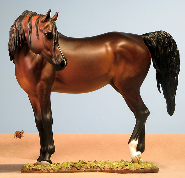 Eberl Mahiba painted by C. Williams