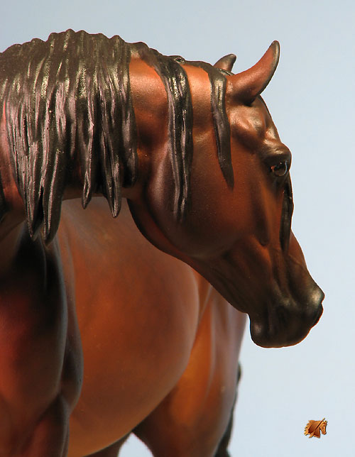 Eberl Mahiba painted by C. Williams