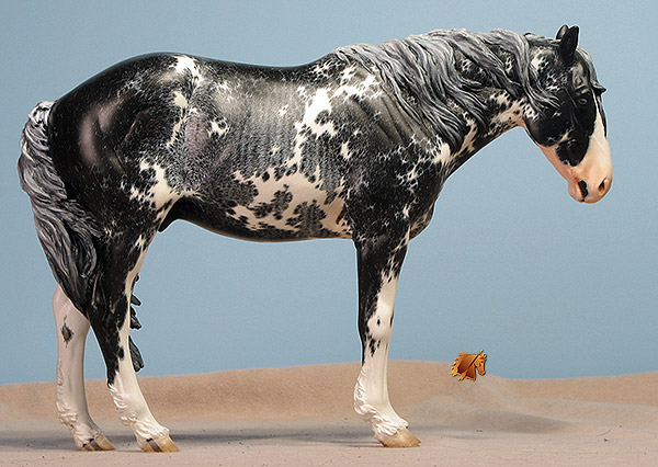 Scott Sencillo painted by C. Williams