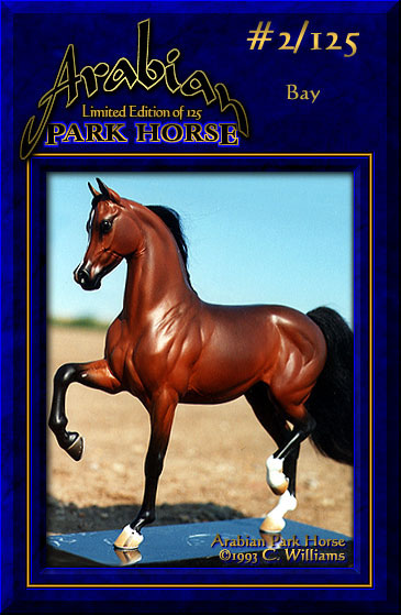Arabian Park Horse #2