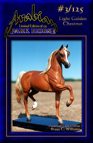 Arabian Park Horse #3