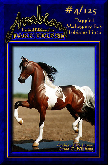 Arabian Park Horse #4