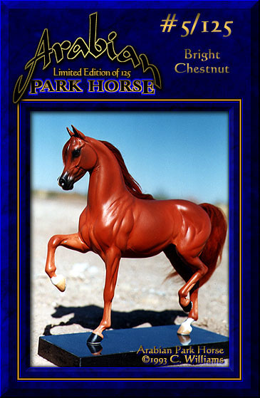 Arabian Park Horse #5
