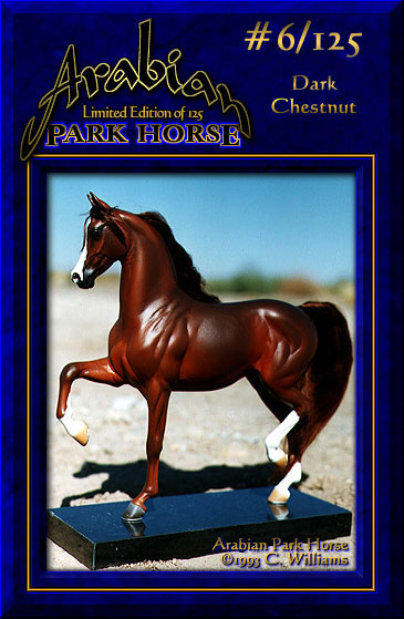 Arabian Park Horse #6