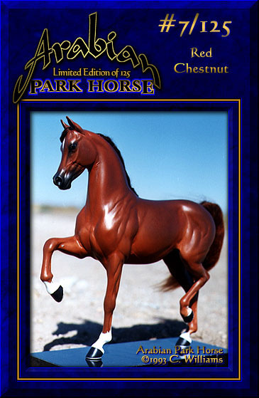 Arabian Park Horse #7