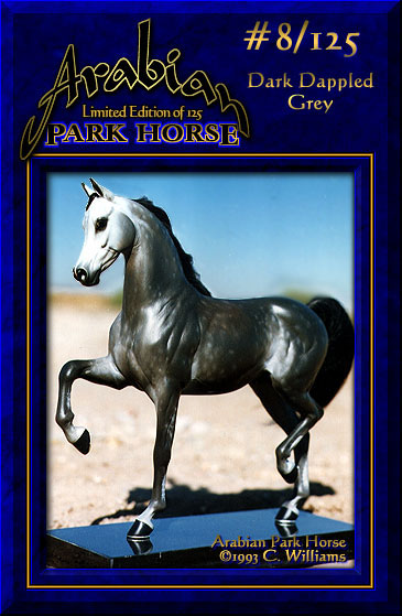 Arabian Park Horse #8