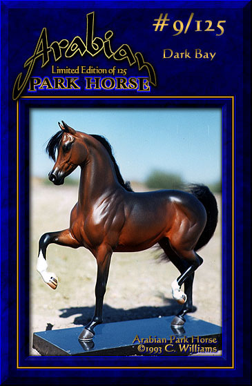 Arabian Park Horse #9