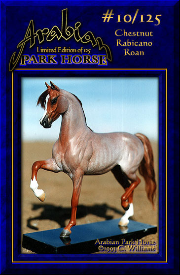 Arabian Park Horse #10