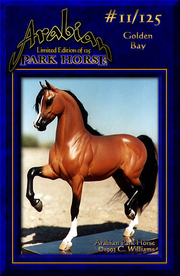 Arabian Park Horse #11