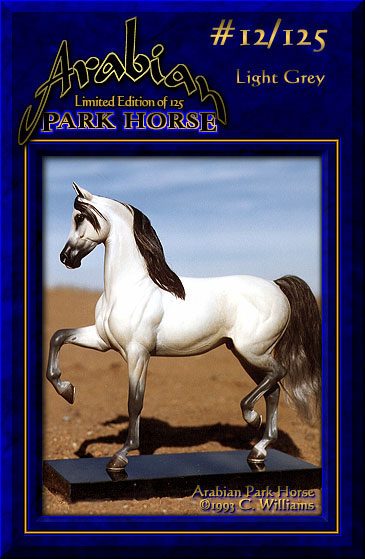 Arabian Park Horse #12