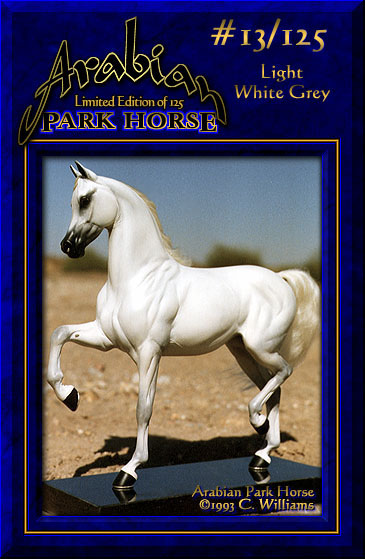 Arabian Park Horse #13