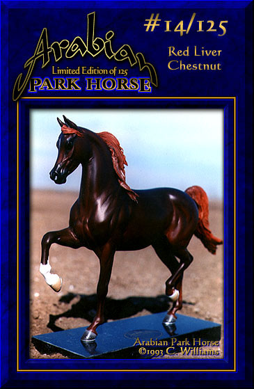 Arabian Park Horse #14