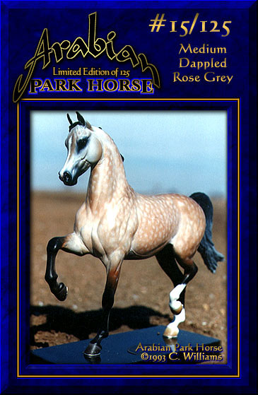 Arabian Park Horse #15