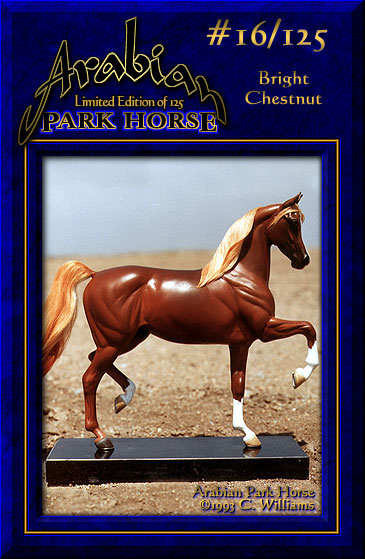 Arabian Park Horse #16