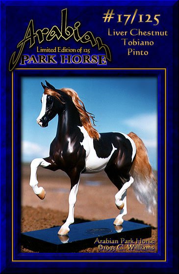 Arabian Park Horse #17
