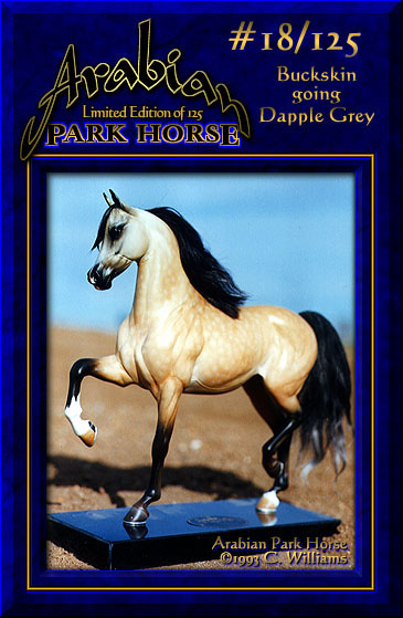 Arabian Park Horse #18