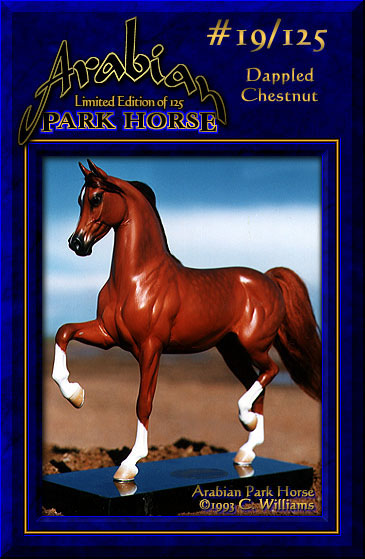 Arabian Park Horse #19