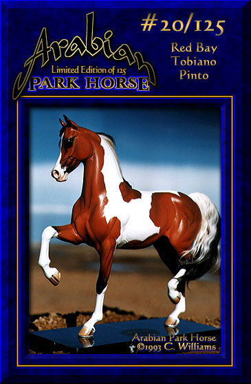 Arabian Park Horse #20