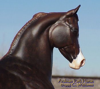 Arabian Park Horse Phase 2 #102/125