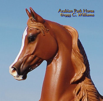 Arabian Park Horse Phase 2 #103/125