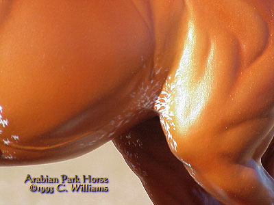 Arabian Park Horse Phase 2 #103/125