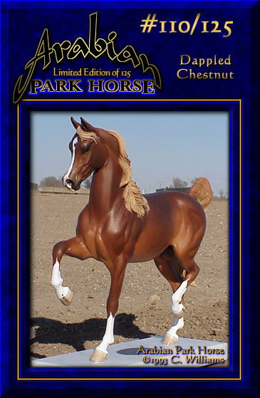 Arabian Park Horse Phase 2 #110/125