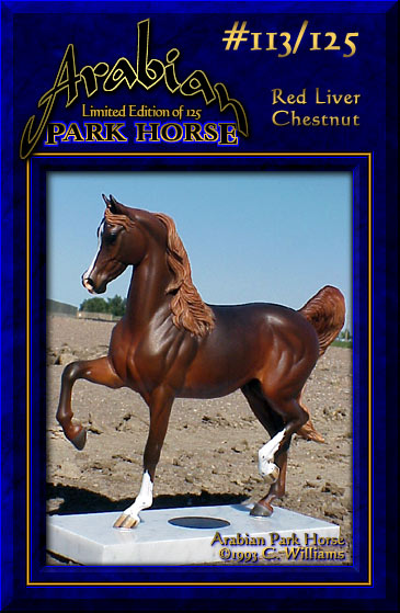 Arabian Park Horse Phase 2 #113/125