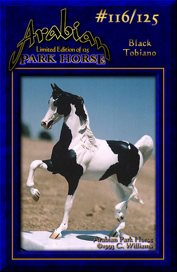 Arabian Park Horse Phase 2 #116/125