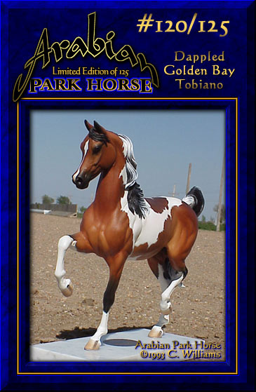 Arabian Park Horse Phase 2 #120/125