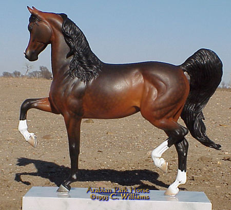 Arabian Park Horse Phase 2 #121/125