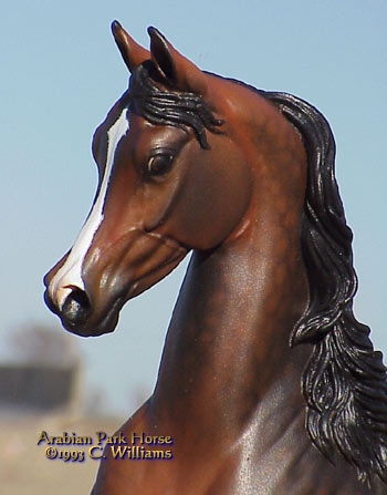 Arabian Park Horse Phase 2 #121/125