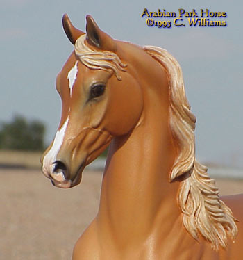 Arabian Park Horse Phase 2 #124/125