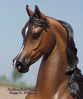 Arabian Park Horse Phase 2 #125/125