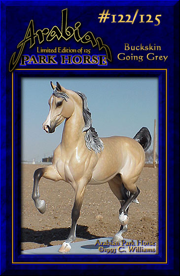 Arabian Park Horse Phase 2 #122/125
