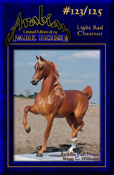 Arabian Park Horse #123/125