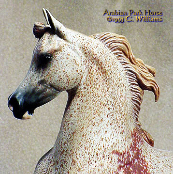 Arabian Park Horse Phase 1 #33/125