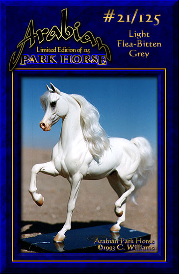 Arabian Park Horse #21