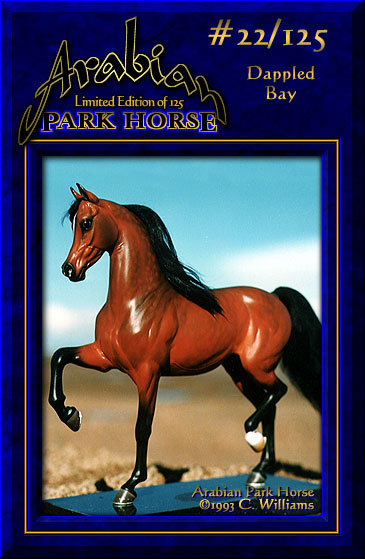 Arabian Park Horse #22