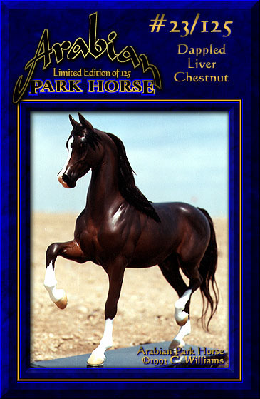 Arabian Park Horse #23
